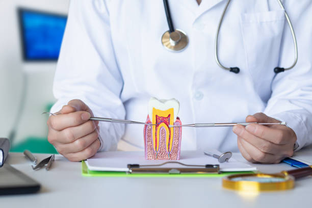 Best Pediatric Emergency Dentist in West Leechburg, PA